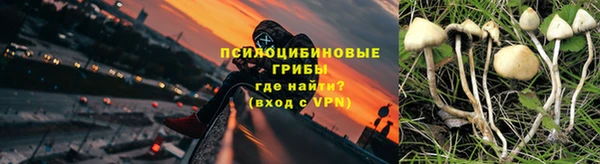 гидра Болхов