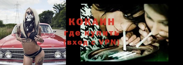 ПСИЛОЦИБИНОВЫЕ ГРИБЫ Дмитров