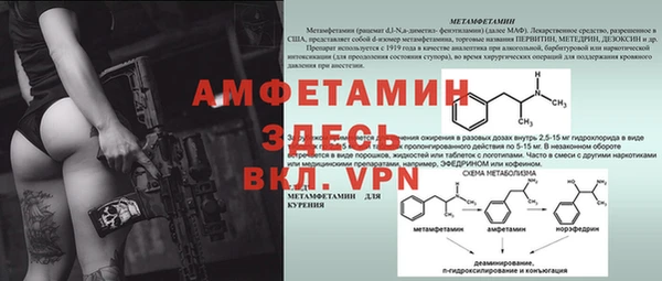 ПСИЛОЦИБИНОВЫЕ ГРИБЫ Болохово