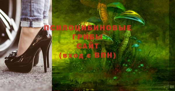 ПСИЛОЦИБИНОВЫЕ ГРИБЫ Дмитров