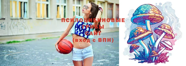 ПСИЛОЦИБИНОВЫЕ ГРИБЫ Дмитров